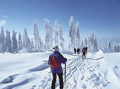 Schneesituation im Bayerischen Wald entspannt sich